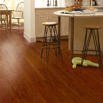 Amer_Oak_Old_Bronze